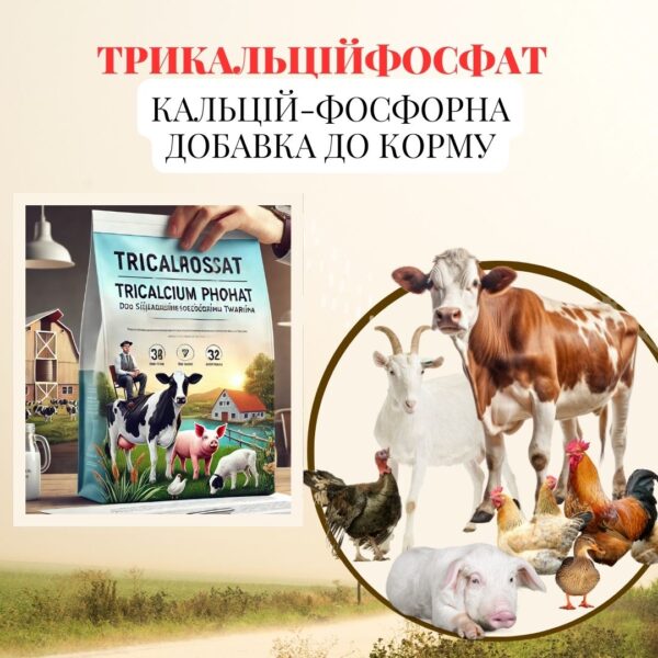 Дизайн без назви (1)