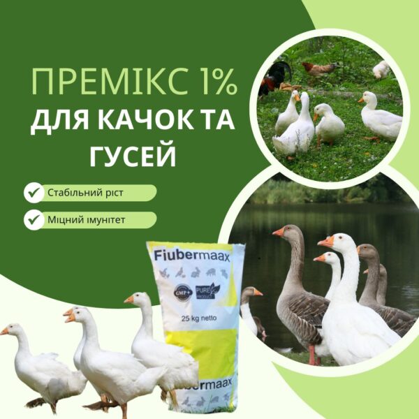 Green and white Modern Poultry Farm Business Instagram Post