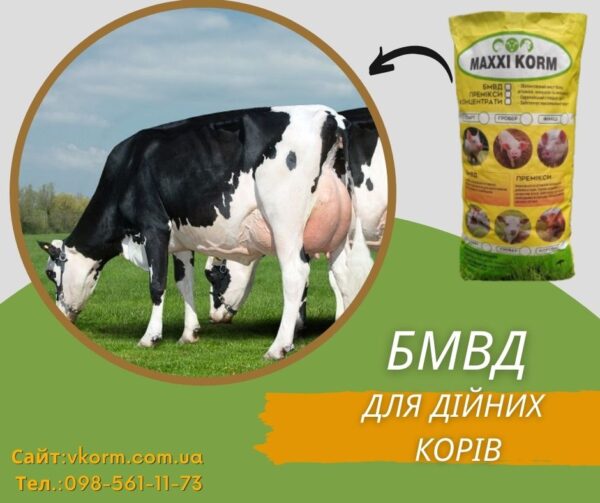 корови бмвд корови бмвд